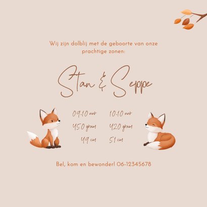 Hip geboortekaartje bosdieren illustratie vosjes tweeling 3