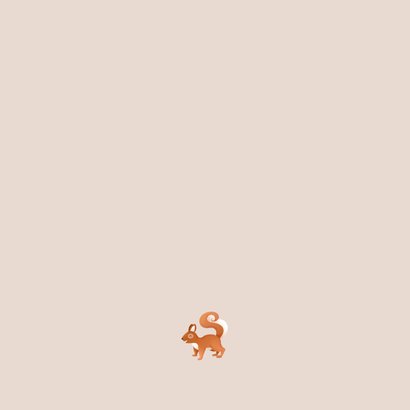 Hip geboortekaartje bosdieren illustratie vosjes tweeling Achterkant