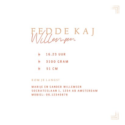 Hip geboortekaartje illustratie leeuwtje met manen 3