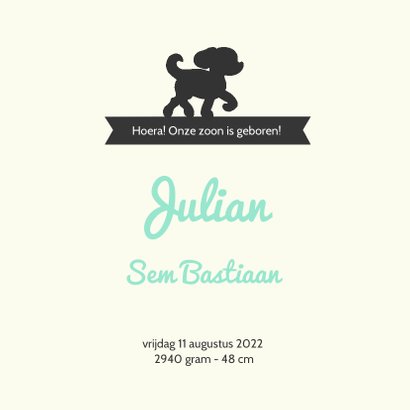 Hip geboortekaartje met jongetje en lief hondje 3