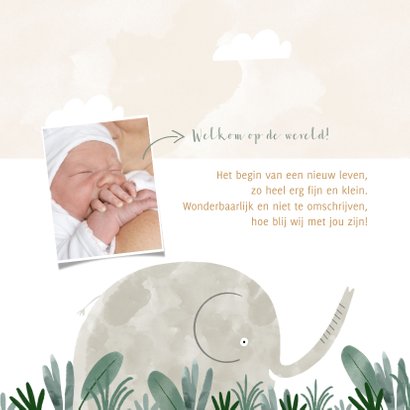 Hip geboortekaartje olifant savanne illustratie 2
