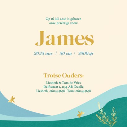 Hip geboortekaartjes jongen met landschap en gouden libelle 3