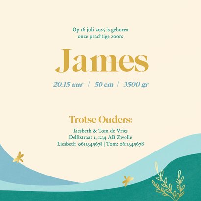 Hip geboortekaartjes jongen met landschap en gouden libelle 3