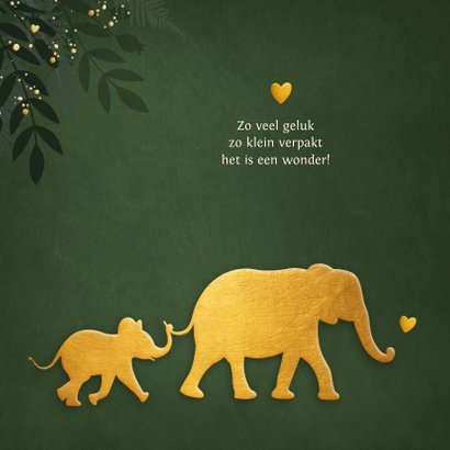 Hip jungle felicitatiekaartje geboorte jongen met olifant 2