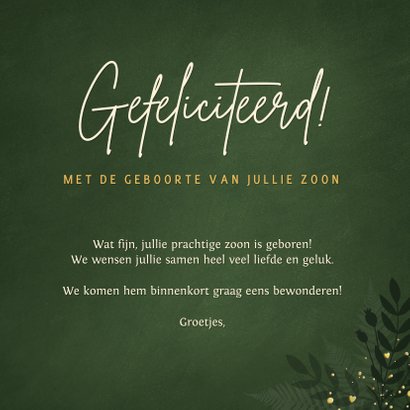 Hip jungle felicitatiekaartje geboorte jongen met olifant 3