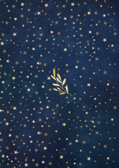 Hippe fotocollage nieuwjaarskaart gouden sterren en takjes Achterkant