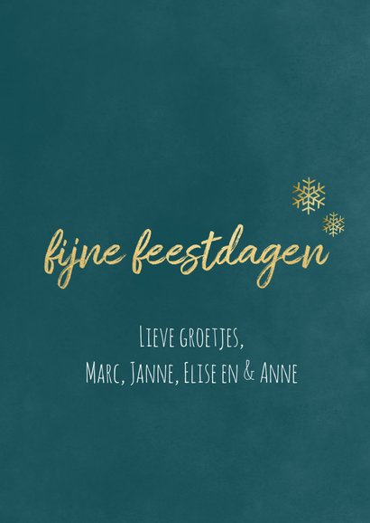 Hippe fotokaart met kerstbomen illustratie 3