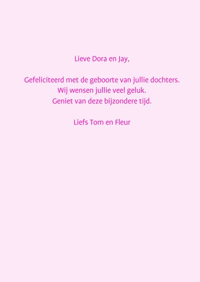 Hoera een tweeling, meisjes vlag 3