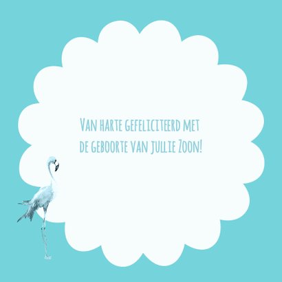 Hoera een zoon met flamingo's 3