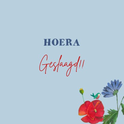 Hoera Geslaagd School Vlag 3