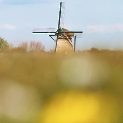 Hollands landschap met molen 2