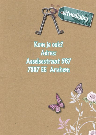 housewarming vogelhuis 3