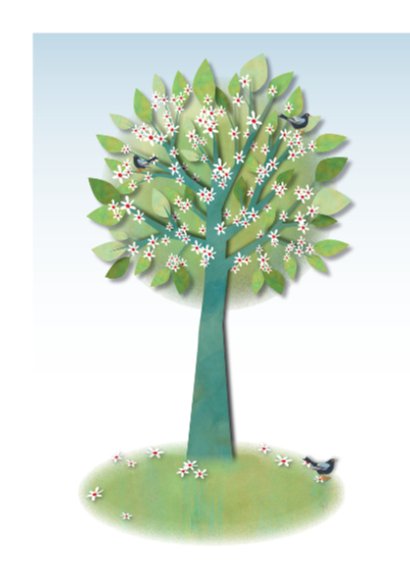 Huwelijk-Cherry-Blossom-Tree 2
