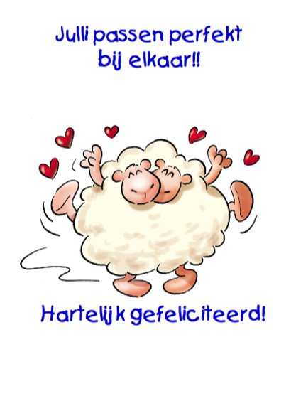 Huwelijk schaapjes samen getrouwd 3