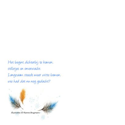 ijsvogel in de winter 2