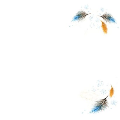 ijsvogel in de winter 3