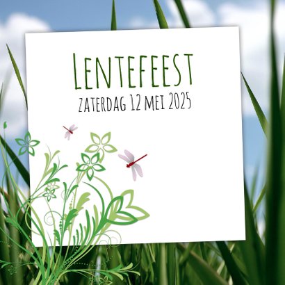 Insecten en kikker-isf 2