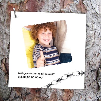Insecten op de boom-isf 2