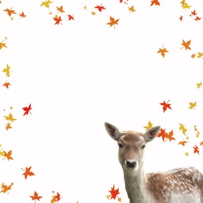 Jarig met herfstbladeren 3