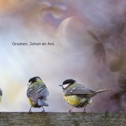 Jarig met vogels op hout 3