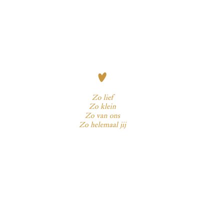 Jongetje met knuffelbeer 2