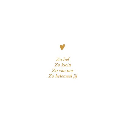 Jongetje met knuffelbeer 2