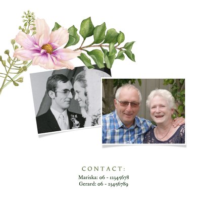 Jubileum bloemen cosmea sering aanpasbaar 2