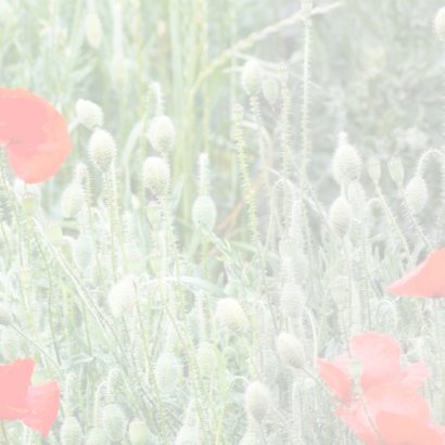 jubileum klaprozen zelf invullen 3