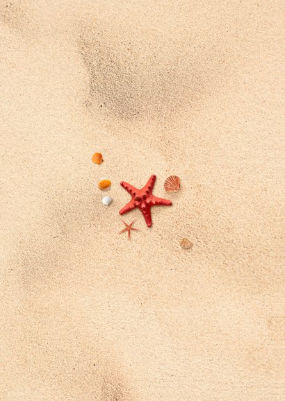 Jubileumfeest uitnodiging strand wegwijzers schelpen Achterkant