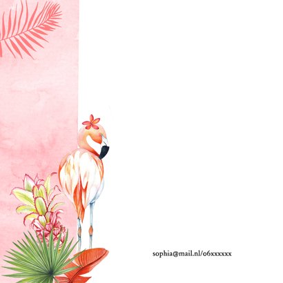 Jubileumkaart flamingostel 2