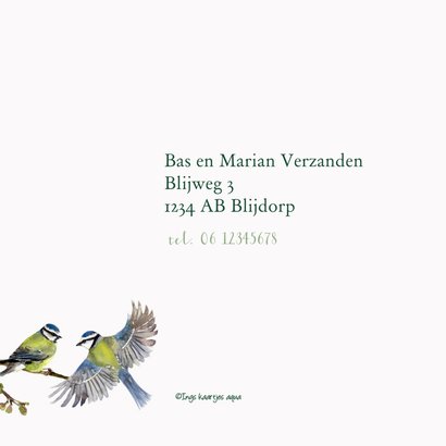 Jubileumkaart Romantische vogels 2