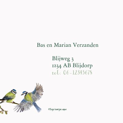 Jubileumkaart Romantische vogels 2