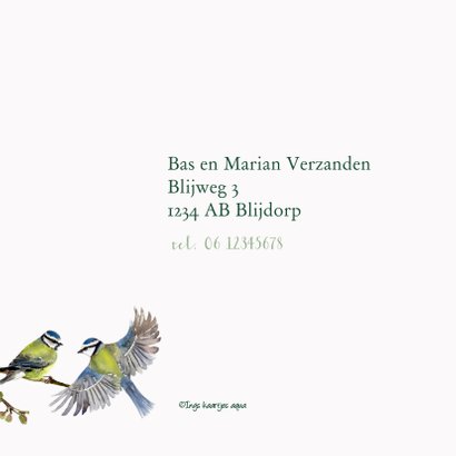 Jubileumkaart Romantische vogels 2