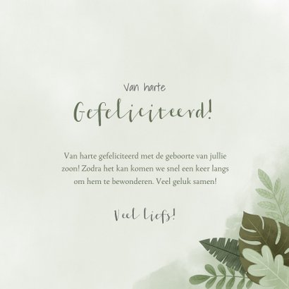 Jungle felicitatiekaart voor jongen met leeuwtje 3