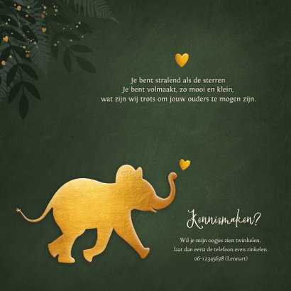 Jungle geboortekaartje jongen met gouden silhouet olifant 2