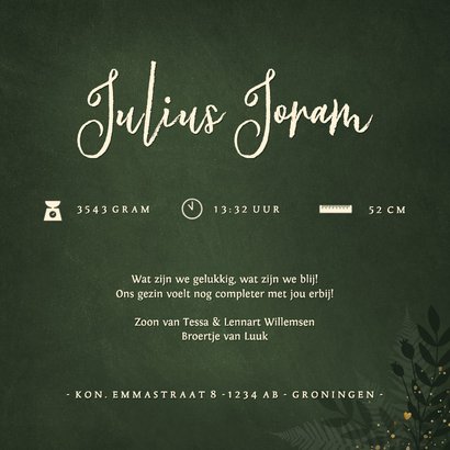 Jungle geboortekaartje jongen met gouden silhouet olifant 3