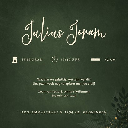 Jungle geboortekaartje jongen met gouden silhouet olifant 3