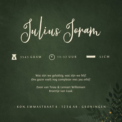 Jungle geboortekaartje jongen met gouden silhouet olifant 3