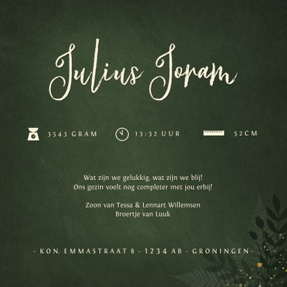 Jungle geboortekaartje jongen met gouden silhouet olifant 3