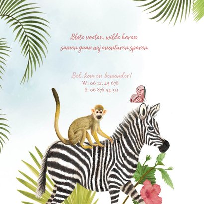 Jungle geboortekaartje met zebra en aapje en vlinders 2