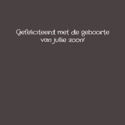 Jungledieren blauw 3