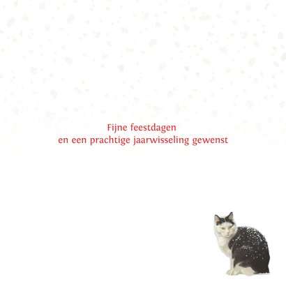 Kaart met een winters tafereel 3