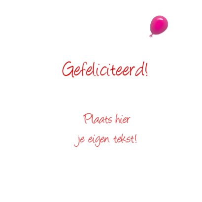 Kabouter Feest 3