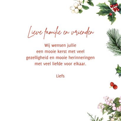 Kerst botanische takjes 3