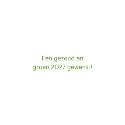 Kerst- en nieuwsjaarskaart Land van Ons 3 3
