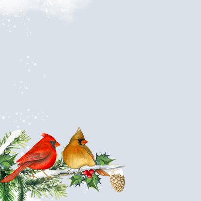 Kerst kardinaalvogeltjes 2