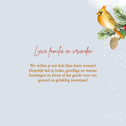 Kerst kardinaalvogeltjes 3