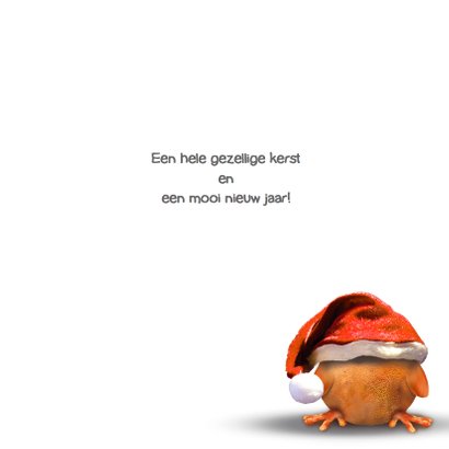 Kerst Ptie Foe in de sneeuw 3