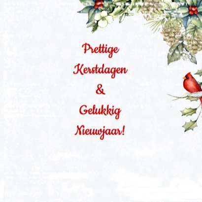 Kerst rendieren sneeuw 3