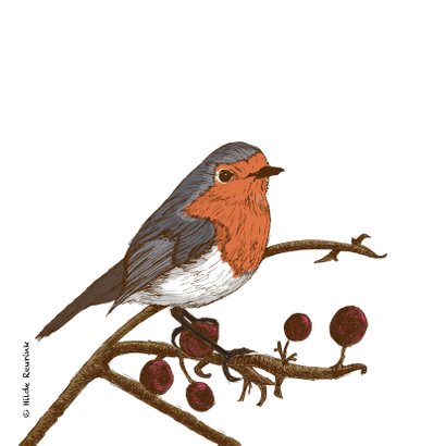 Kerst roodborstje papier 2